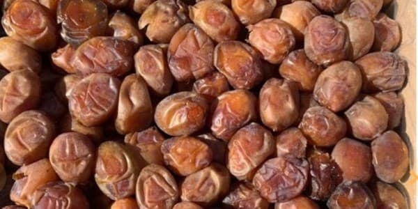 تصویر 5 از قیمت خرما خاصویی صادراتی + خرید باور نکردنی